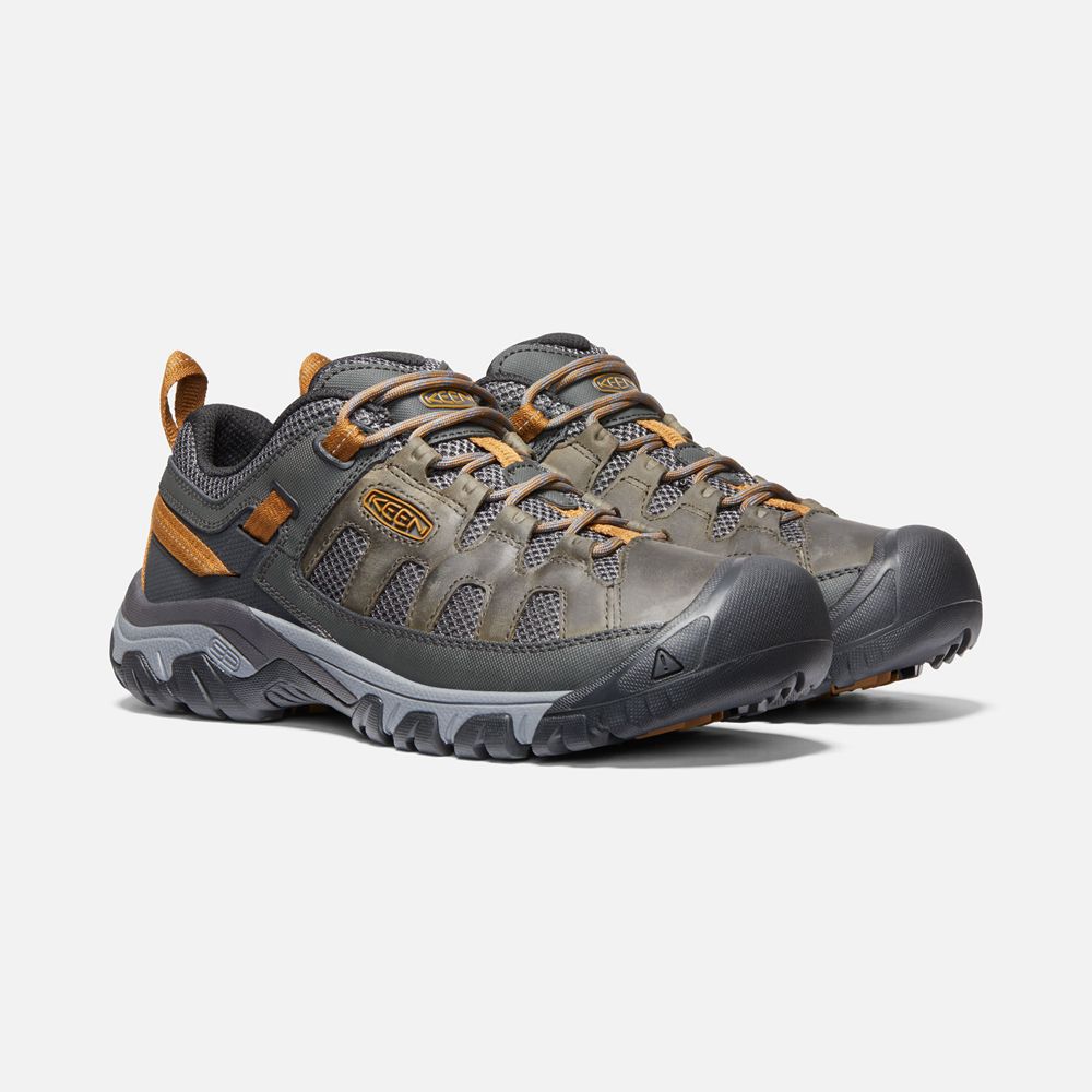 Keen Outdoor Ayakkabı Erkek Siyah Kahverengi - Targhee Vent - Türkiye GRZD92607